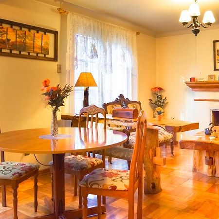 Homestay In Chile B&B Куріко Екстер'єр фото