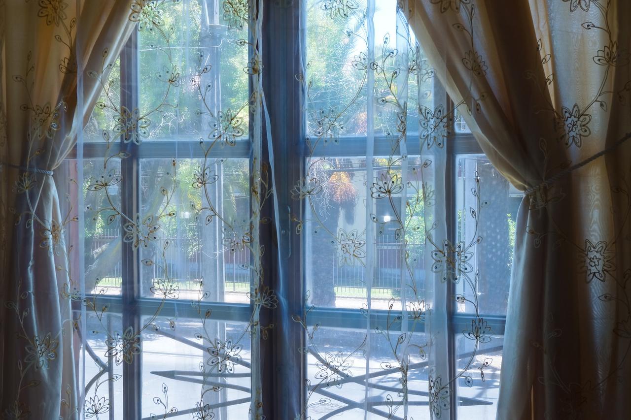 Homestay In Chile B&B Куріко Екстер'єр фото