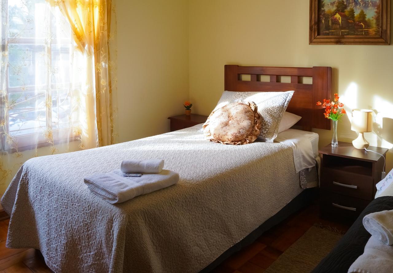 Homestay In Chile B&B Куріко Екстер'єр фото