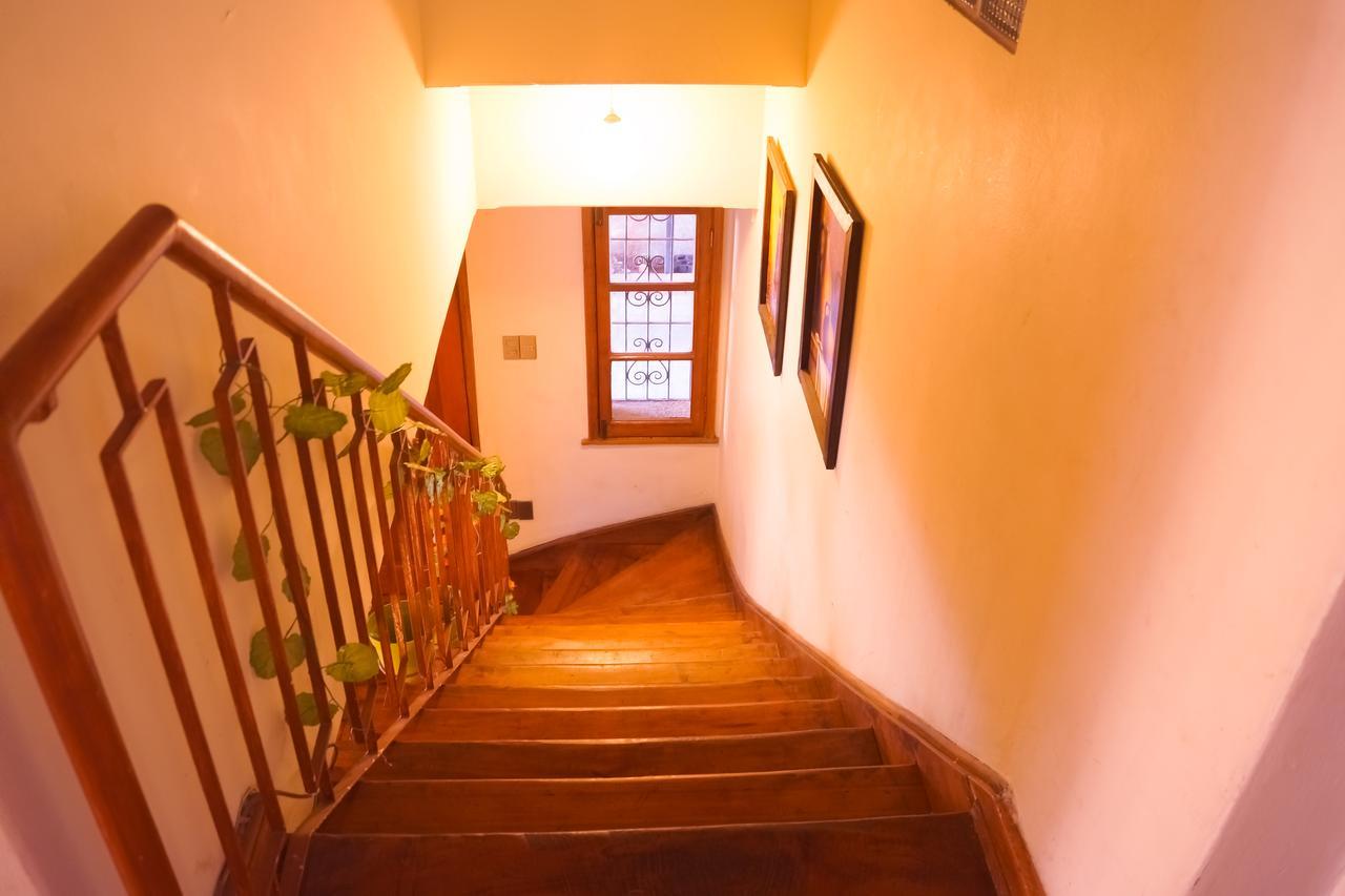 Homestay In Chile B&B Куріко Екстер'єр фото