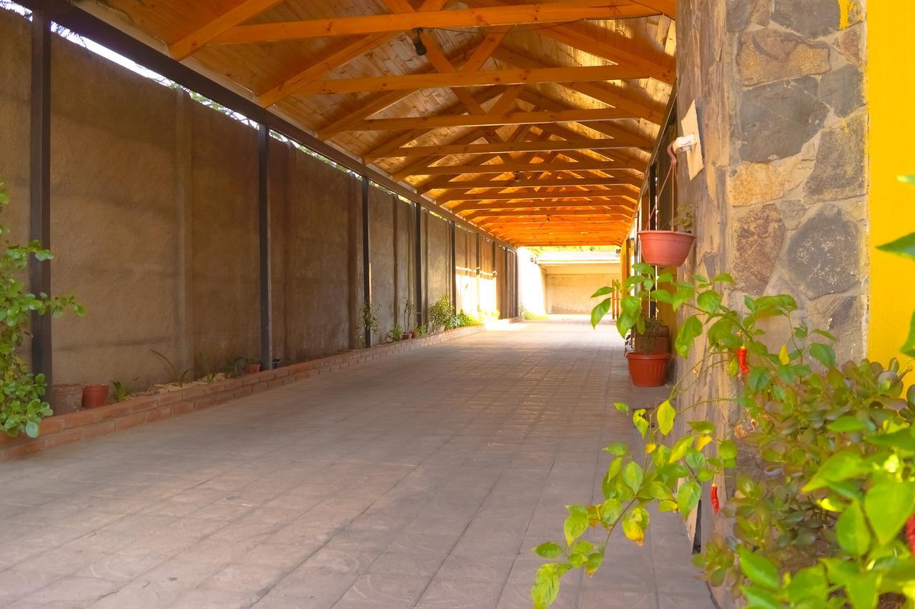 Homestay In Chile B&B Куріко Екстер'єр фото