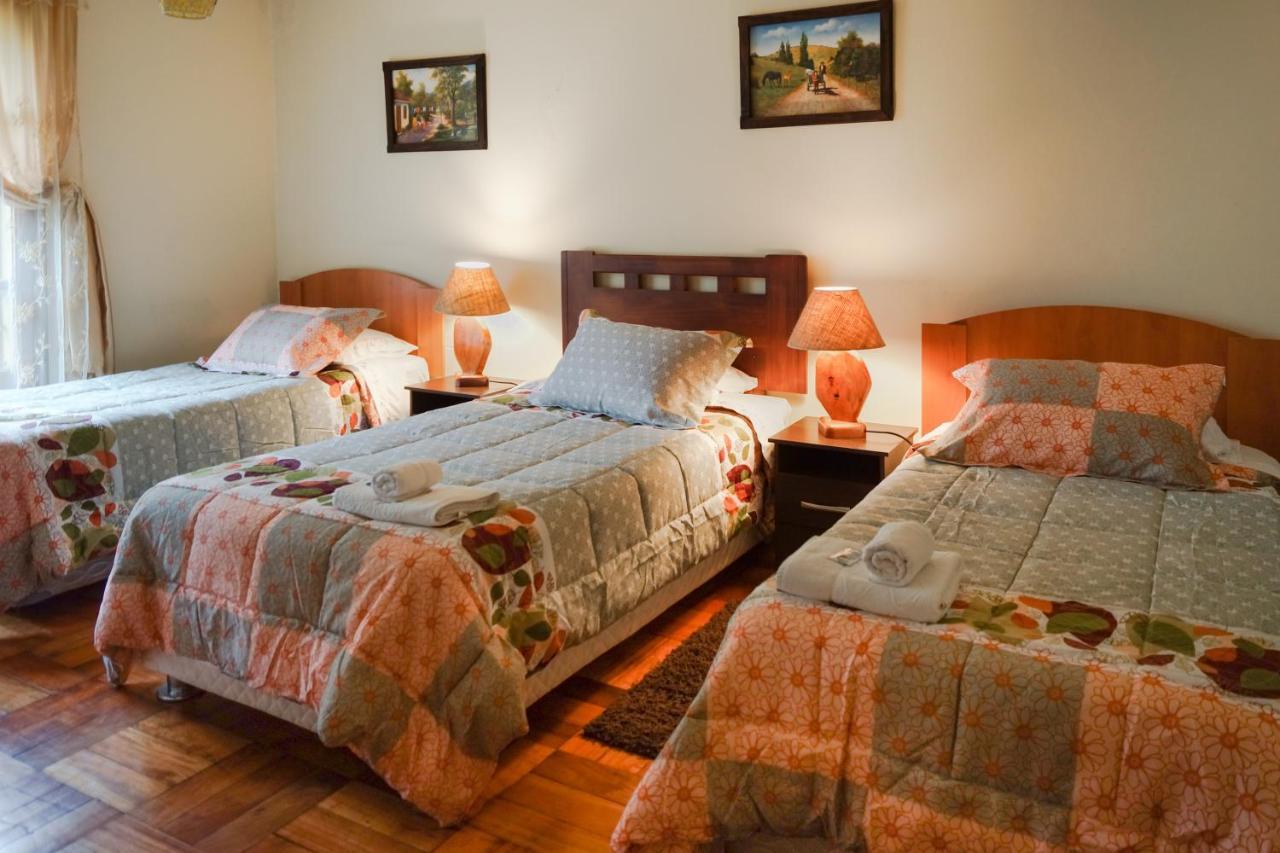 Homestay In Chile B&B Куріко Екстер'єр фото