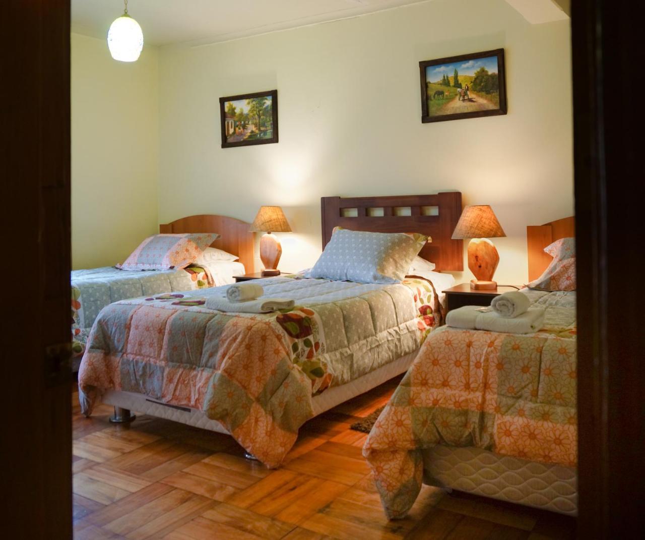 Homestay In Chile B&B Куріко Екстер'єр фото
