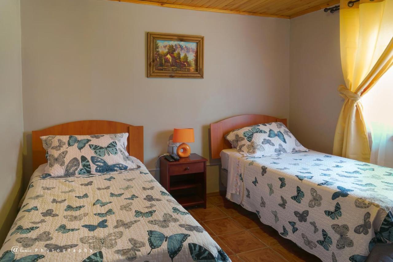 Homestay In Chile B&B Куріко Екстер'єр фото