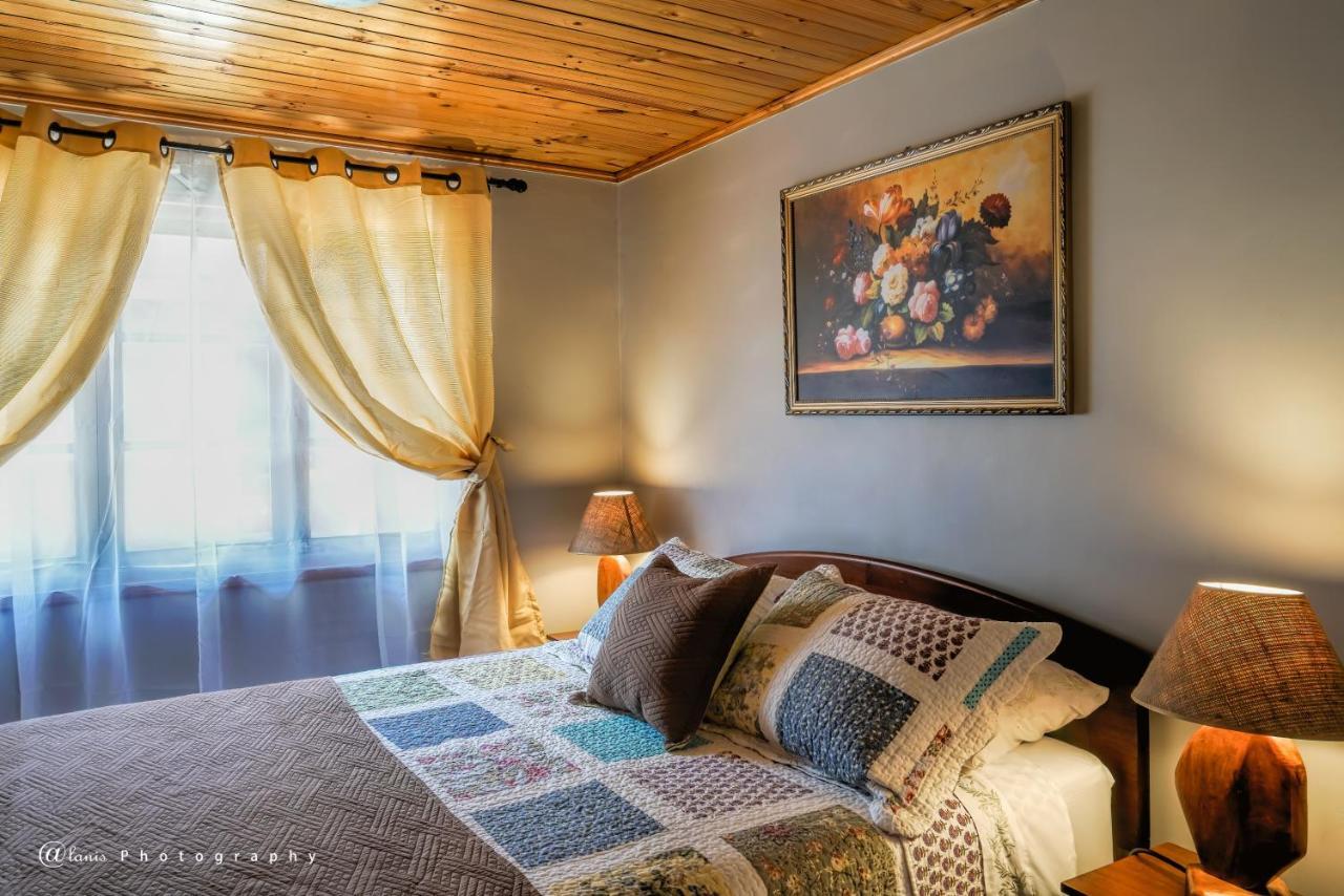 Homestay In Chile B&B Куріко Екстер'єр фото